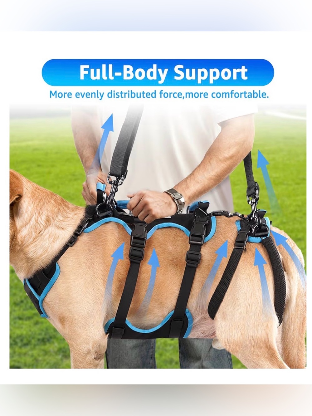 New Dog Lift Harness for Large Dogs, 2-in-1, Back Leg Support & Mobility aid